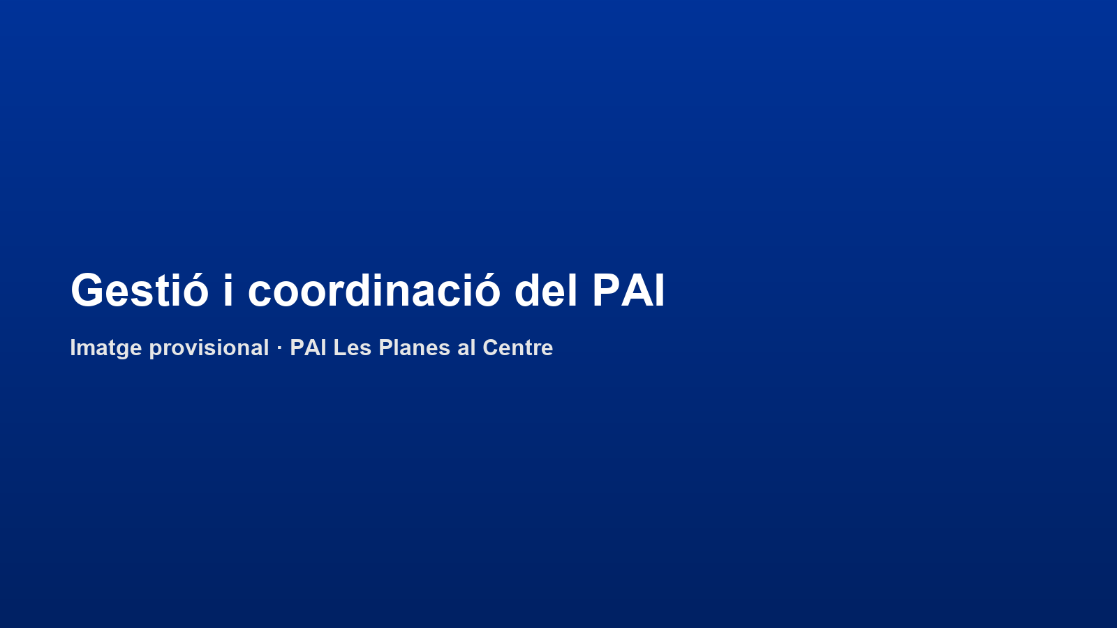 Gestió, coordinació i seguiment del PAI